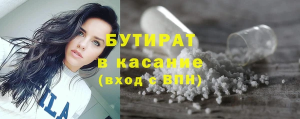 индика Арсеньев