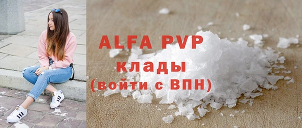 стаф Аркадак