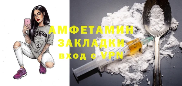 индика Арсеньев